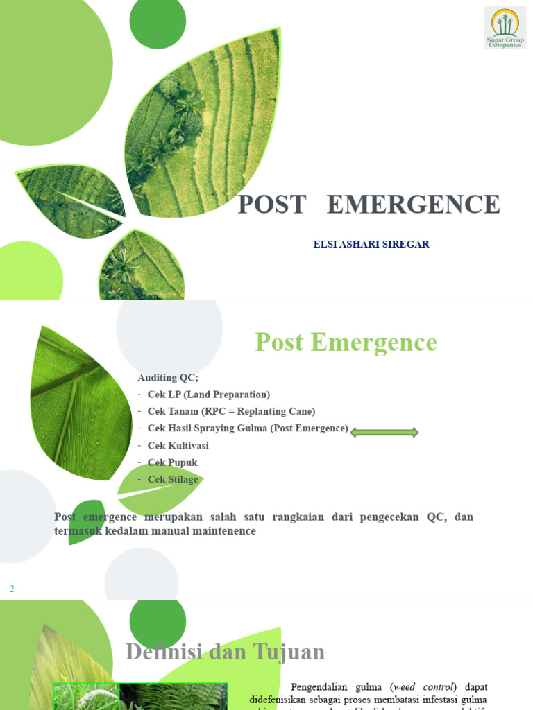 Spost Emergence Animated | PDF