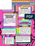 Infografias Neuro Parcial 1