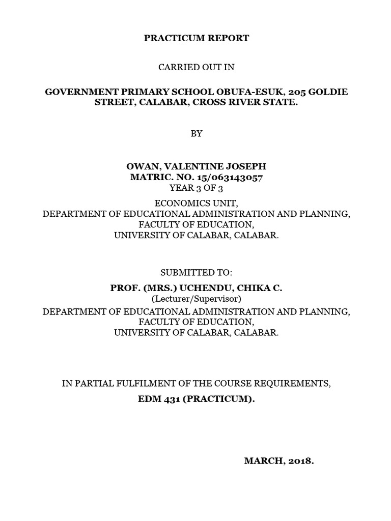 Practicum Report: Government Primary School | PDF | Teachers | Schools
