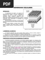 membranaplasmatica-110726203922-phpapp02
