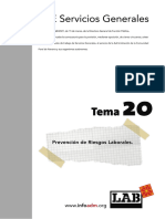 Tema_20_SSGG_Salud_Laboral