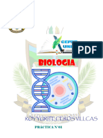 Practica 01 Biologia