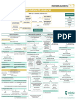 Estructura Orgánica DGGC