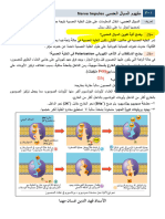 HBG FF: Nerve Impules