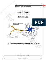 UD2 Fundamentosbiologicosdelaconducta