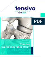 Trauma Cranioencefálico (TCE)