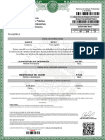 3918 Cedprof PDF Cedula Profesional Original 082740