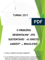 O Princípio Do Desenvolvimento Sustentável o Direi 230630 112309