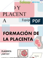 Feto y Placenta