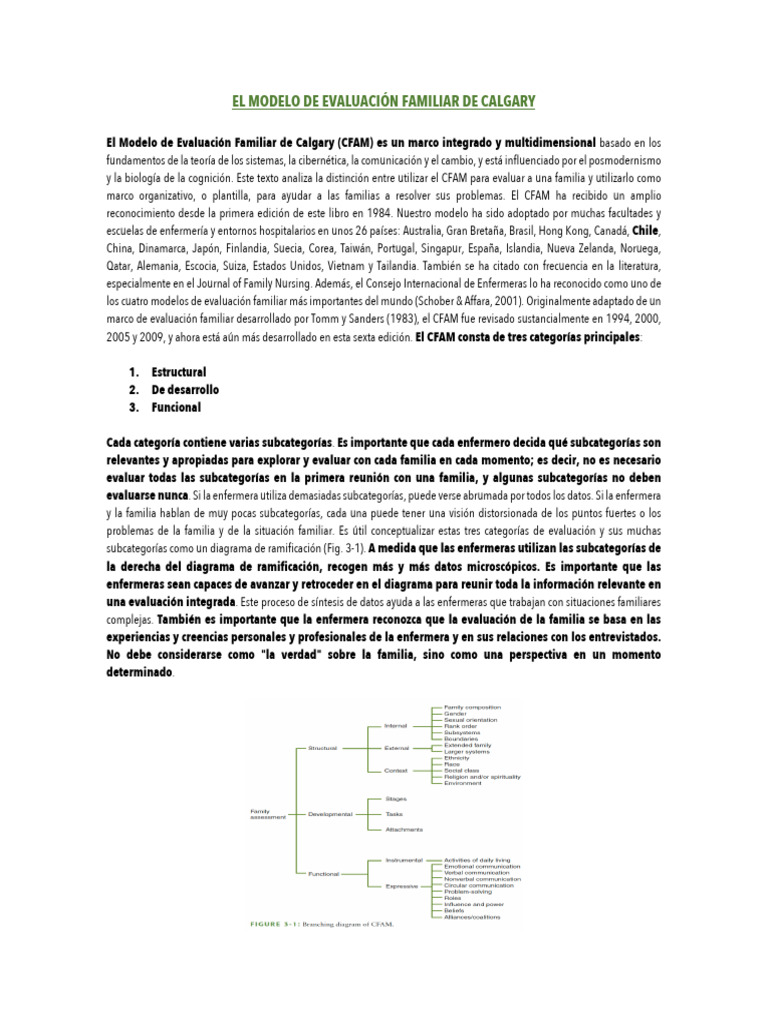 Modelo de Evaluación Familiar de Calgary | PDF | Familia | Enfermería