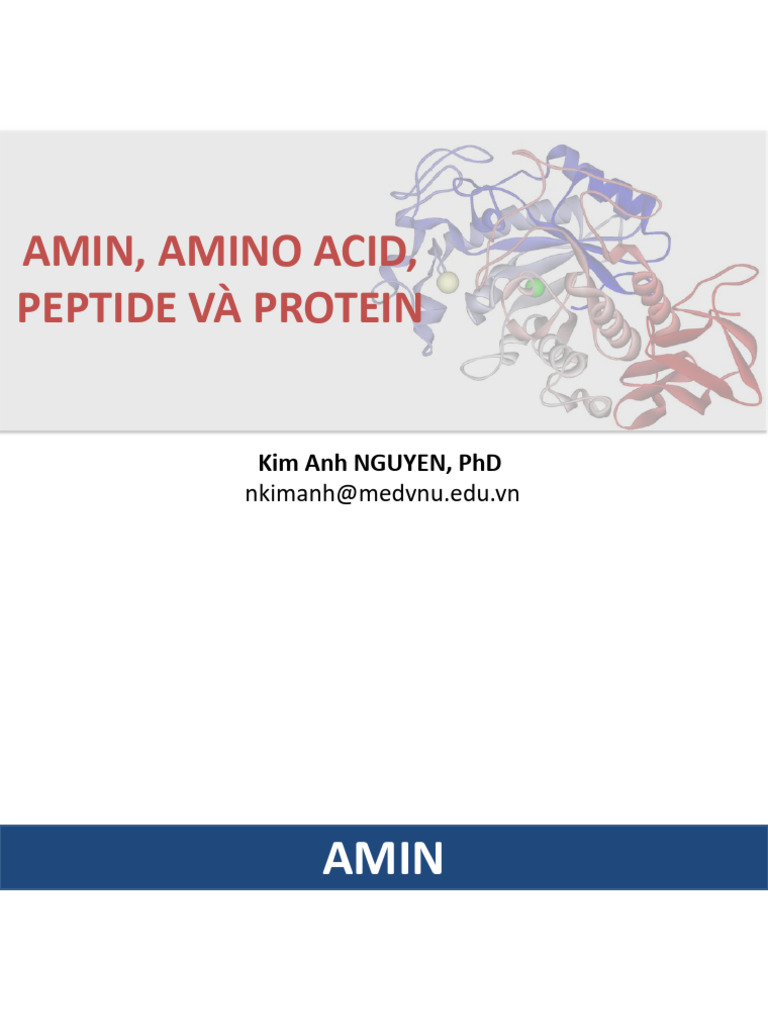 Amin - Amino Acid - Peptid - Protein ĐD2023 | PDF