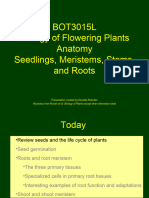 Anatomy of Plants