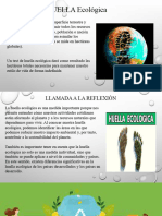 Ecosistema Pacal: Características y Importancia | PDF | Entorno natural ...