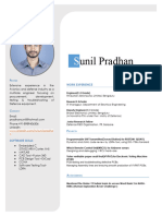 Unil Pradhan: P Work Experience