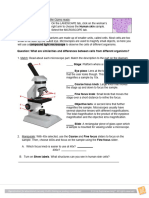 Cell Types Activity Word