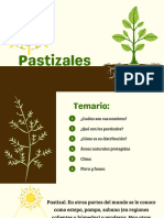 Presentación Química Biología Fotosíntesis Ilustrativa Verde Café