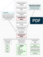 Predisposing Factors Primary Infection of Parenchyma: Lower Urinary Tract Infection