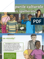 ro1-t-233-stereotipurile-culturale-mituri-spulberate-powerpoint_ver_1