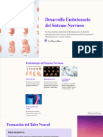 Desarrollo Embrionario Del Sistema Nervioso