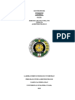 22 - 154 Jeremi Sabatian Pelawi Geotropisme