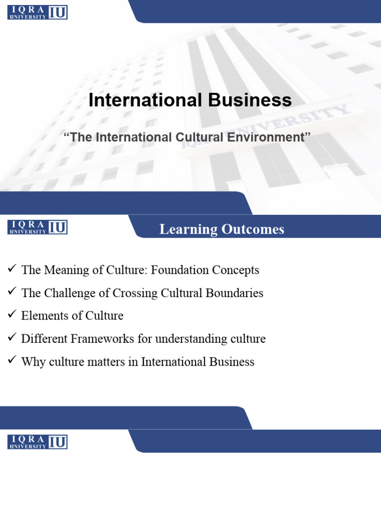 Understanding Culture in Business | PDF | Behavioural Sciences | Social ...