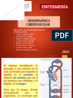 Hemodinamica Grupo 04