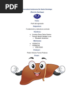 Perfil Del Docente Grupo 3