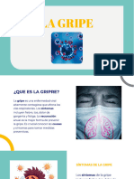 Una Mirada Profunda A La Gripe Causas Sintomas y Prevencion 20231127194744osLA