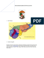 Otonomi Daerah Kabupaten Pelalawan