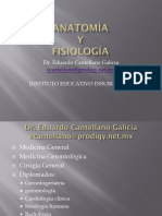 Anatomia II