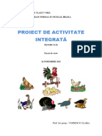 Proiect de Activitate Integrata 16 Nov.