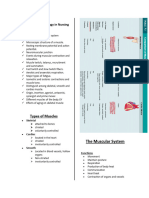 Muscular System Reviewer