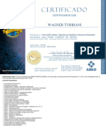 Certificado NR 10 Wagner 75