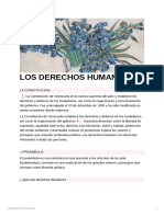 Los Derechos Humanos