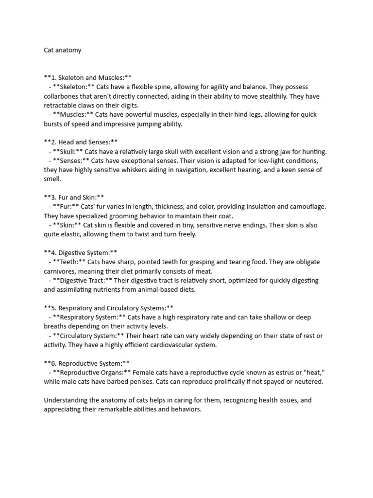 Cat Anatomy PDF