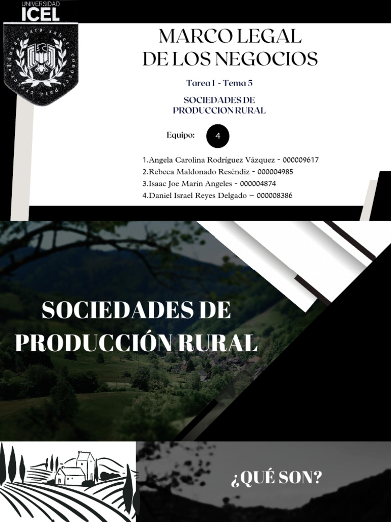 Sociedades de Producción Rural en México | PDF | Sociedad | Economias
