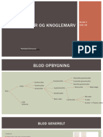 SAU 29 - Blodceller Og Knoglemarv