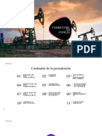 Combustibles Fósiles