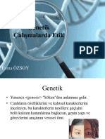 Genetikalmalardaetik 120608020506 Phpapp02