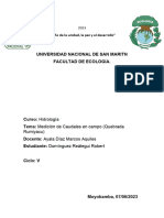 Informe de Medición de Caudales - Robert Domínguez Reátegui