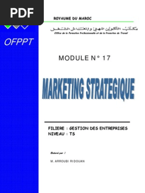 M17 Marketing Strategique Agc Tsge Pdf Actionnaire Commercialisation