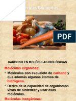 Mol. Biologicas y Membrana 2021 Alvaro