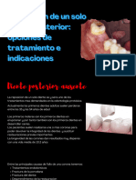 Expo 1 PDF