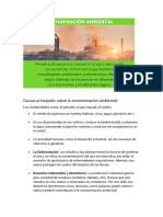 Causas Principales Sobre La Contaminación Ambiental