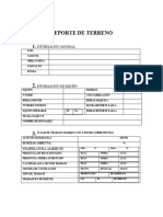 Formato Reporte