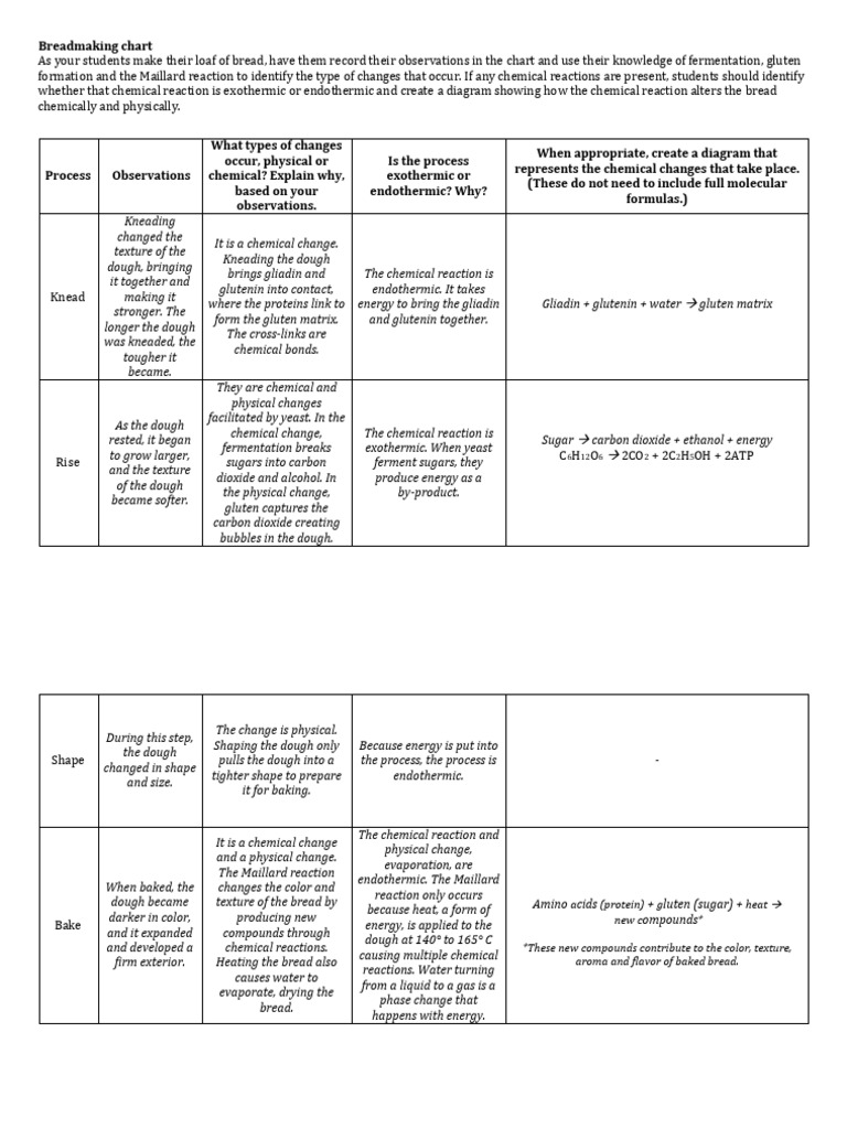 Breadmaking Process & Reactions Chart | PDF | Breads | Gluten