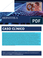 Hepatitis Final