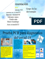 Infograma de La Prueba de PCR