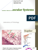 Cardiovascular Systems Praktikum Histologi Compile 2023