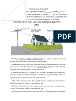 ACT WORKING NEAR LOW VOLTAGE OVERHEAD ELECTRIC LINES-1 Pablo Sanchez